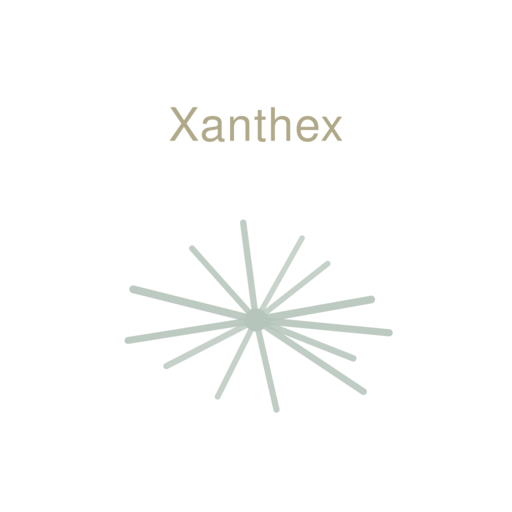 Logo Xanthex
